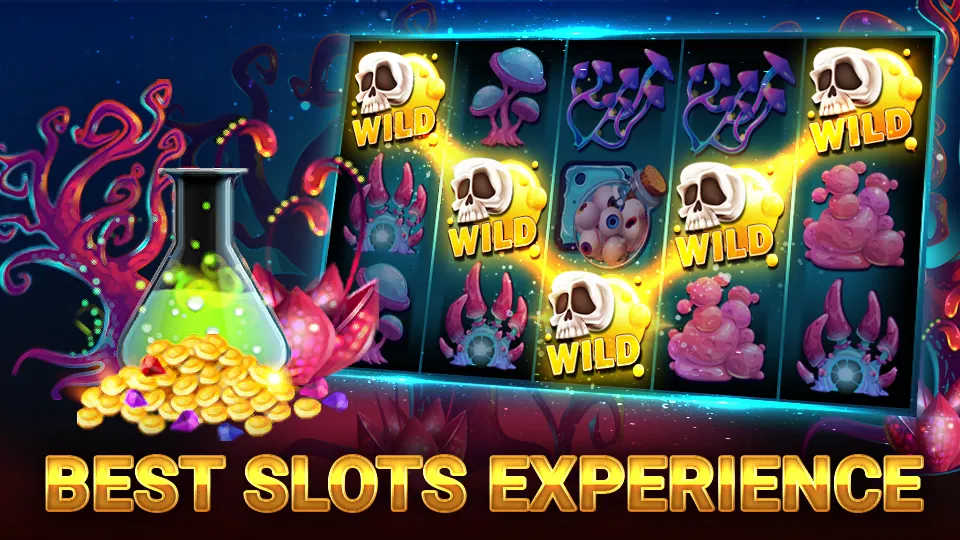 Hình ảnh minh họa chương trình VIP của 2233win code